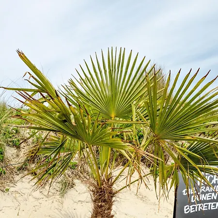 Strandhus Uiterst-hoern Luv 公寓