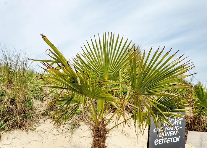 Strandhus Uiterst-hoern Luv Lejlighed
